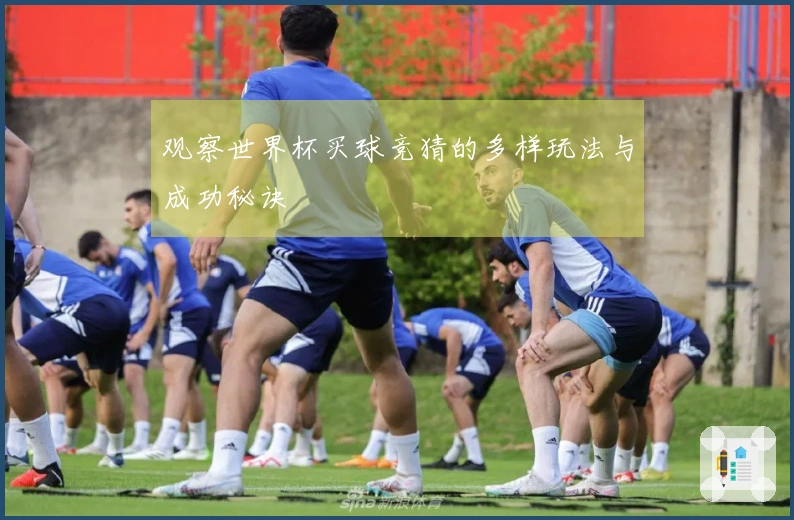 观察世界杯买球竞猜的多样玩法与成功秘诀