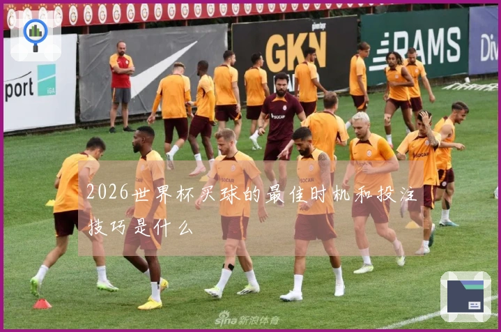 2026世界杯买球的最佳时机和投注技巧是什么