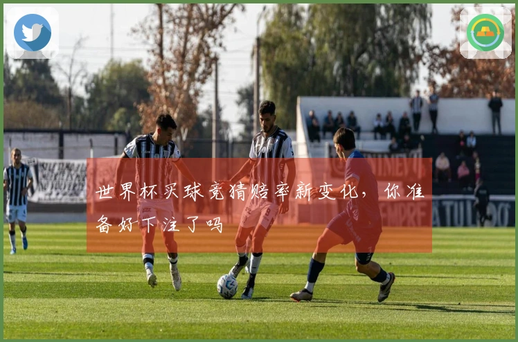 世界杯买球竞猜赔率新变化，你准备好下注了吗