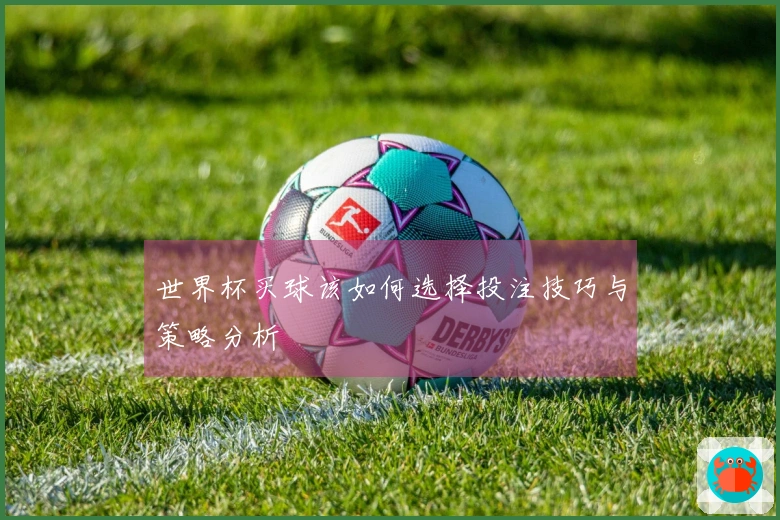世界杯买球该如何选择投注技巧与策略分析