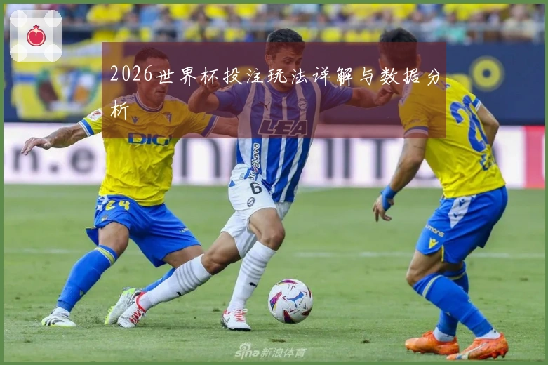 2026世界杯投注玩法详解与数据分析