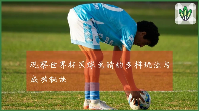 观察世界杯买球竞猜的多样玩法与成功秘诀