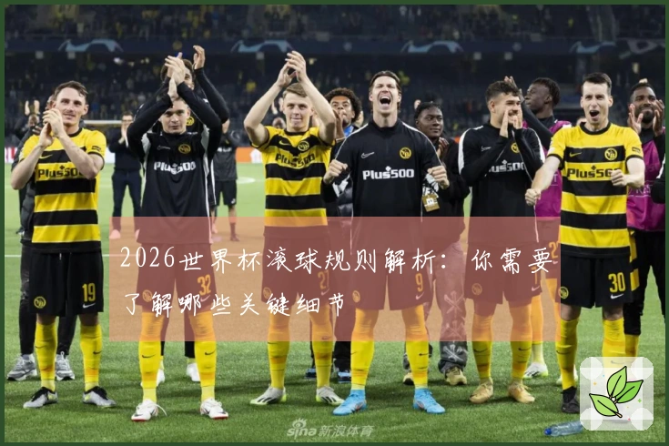 2026世界杯滚球规则解析：你需要了解哪些关键细节